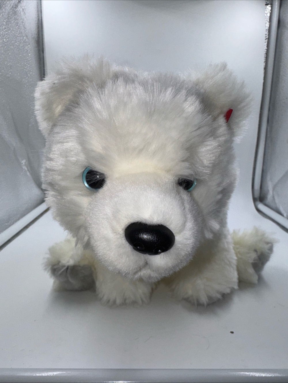 TY Classic BABY ICEBERG the Polar Bear - 12" - Stuffed Plush – 2000 - Gray Paws